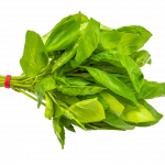 Buy basil online Scarborough M1H2X1