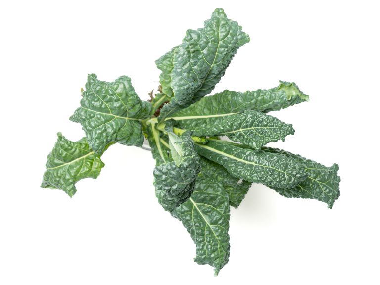 Buy fresh kale leaves Scarborough M1H2X1