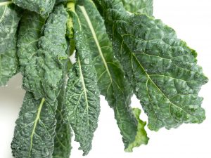 Buy fresh kale leaves Scarborough M1H2X1