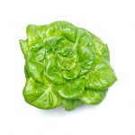Buy Butterhead Lettuce Online Scarborough M1H2X1