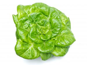 Buy Butterhead Lettuce Online Scarborough M1H2X1