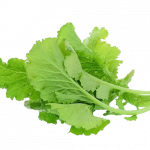 Buy organic mustard greens Scarborough M1H2X1