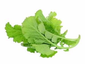 Buy organic mustard greens Scarborough M1H2X1
