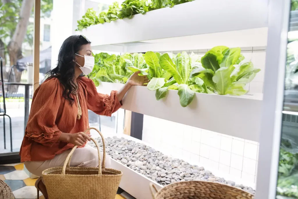 A woman choosing products from hydroponic farms in Toronto.