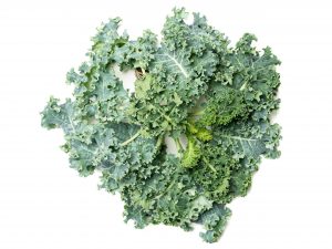 Buy organic kale Scarborough M1H2X1