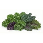 Family Kale Subscription in Scarborough M1H2X1