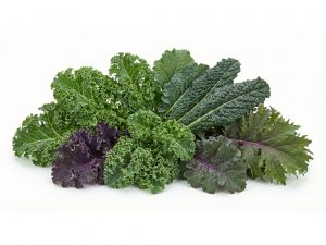 Family Kale Subscription in Scarborough M1H2X1