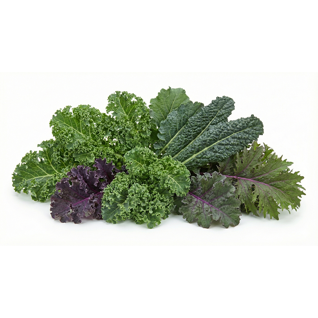 Family Kale Subscription in Scarborough M1H2X1