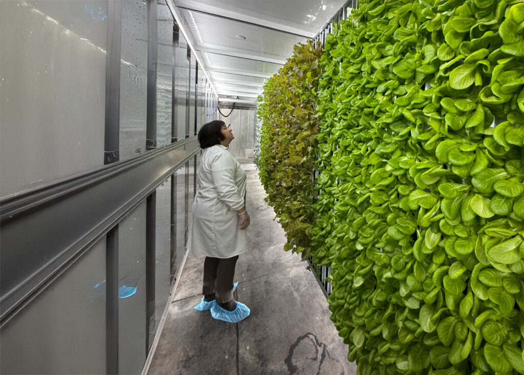 Hydroponic farms Scarborough M1H2X1