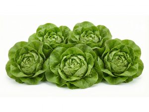 Romaine Pack Subscription in Scarborough M1H2X1