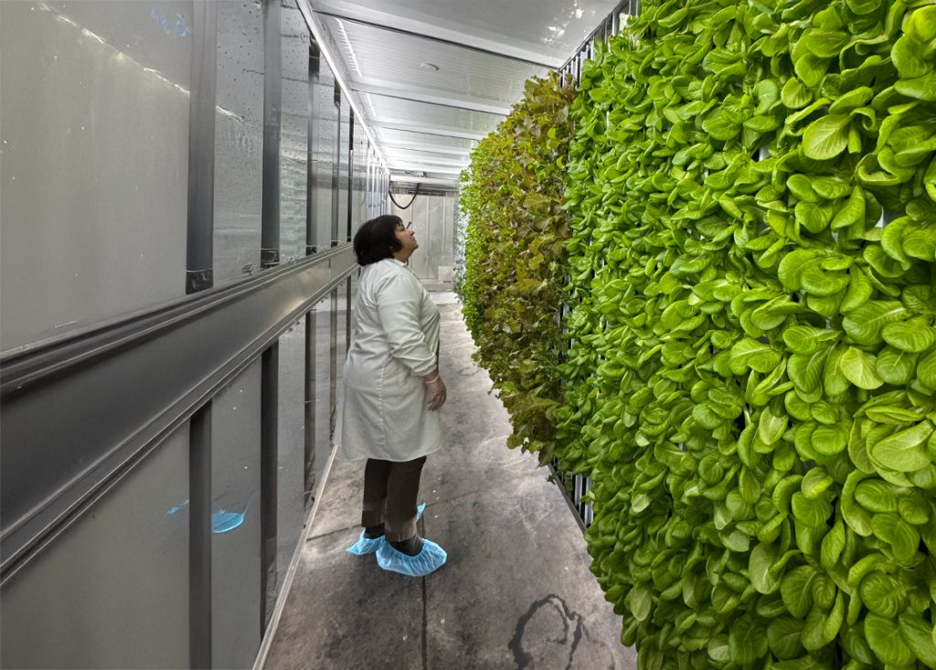 Support hunger relief Scarborough M1H2X1