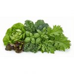 Taster Pack Subscription in Scarborough M1H2X1