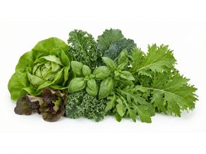 Taster Pack Subscription in Scarborough M1H2X1