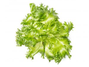 Finstar Lettuce