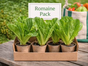 Romaine Pack