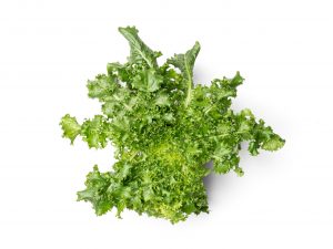 Curled Endive Lettuce grown hydroponically in Scarborough by 5N2