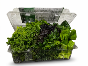 Salad Kit grown hydroponically in Scarborough by 5N2